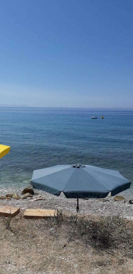 Vila Gusti Guest House Борш Екстериор снимка